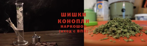 прущие грибы Арсеньев